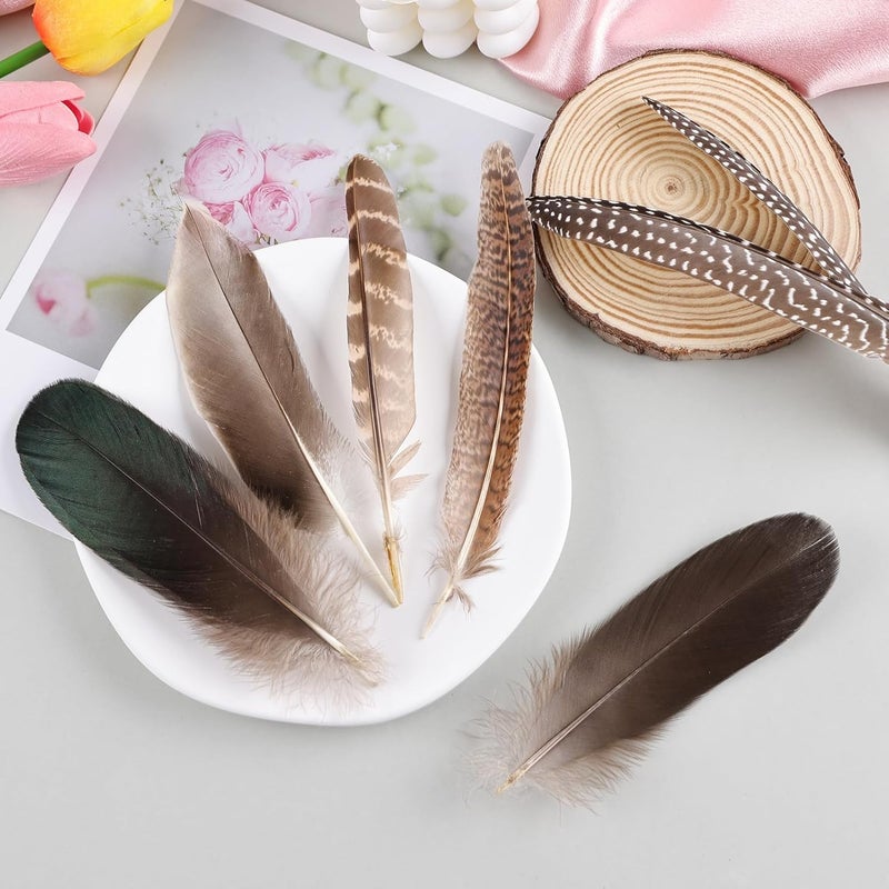 Daieeparty 15pcs Pheasant Feathers 5-8inch Natural Craft Feather for Home DIY Dreamcatcher Hat Costumes Decoration(5 Styles) - Image 5